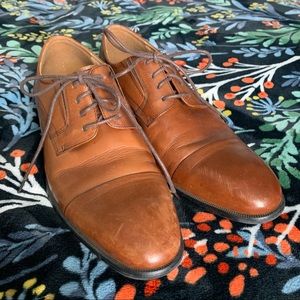 Steve Madden Men Lace Up Oxford Cognac Carlo Shoe